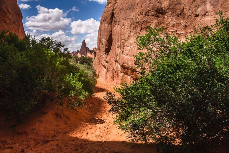 Path At Sand Dune Arch
