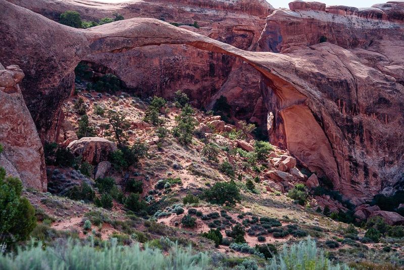 Landscape Arch (Early Morning)