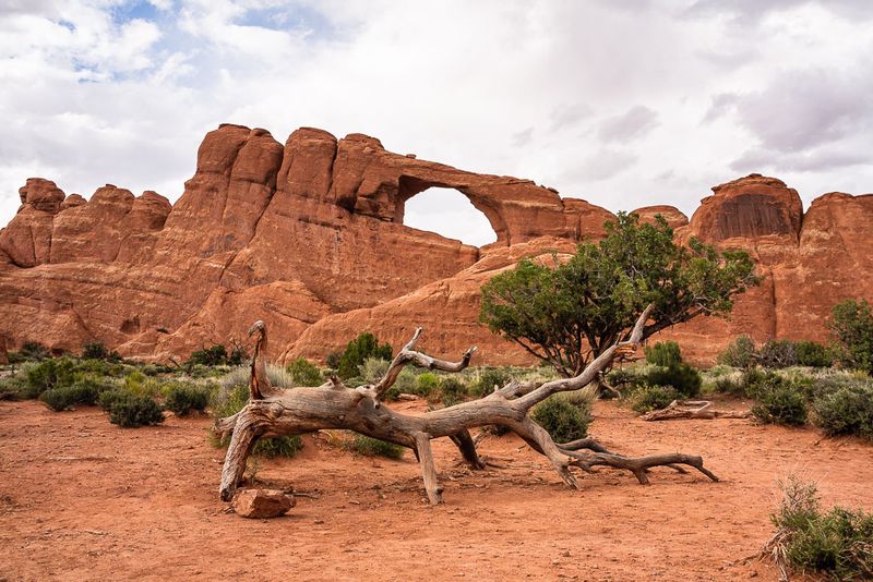 Skyline Arch