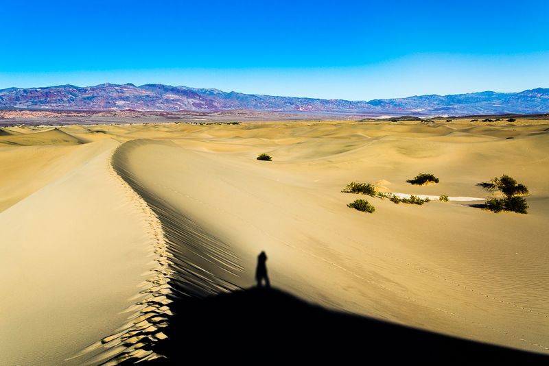 Mesquite Flat Sand Dunes, 14 square miles of dunes.