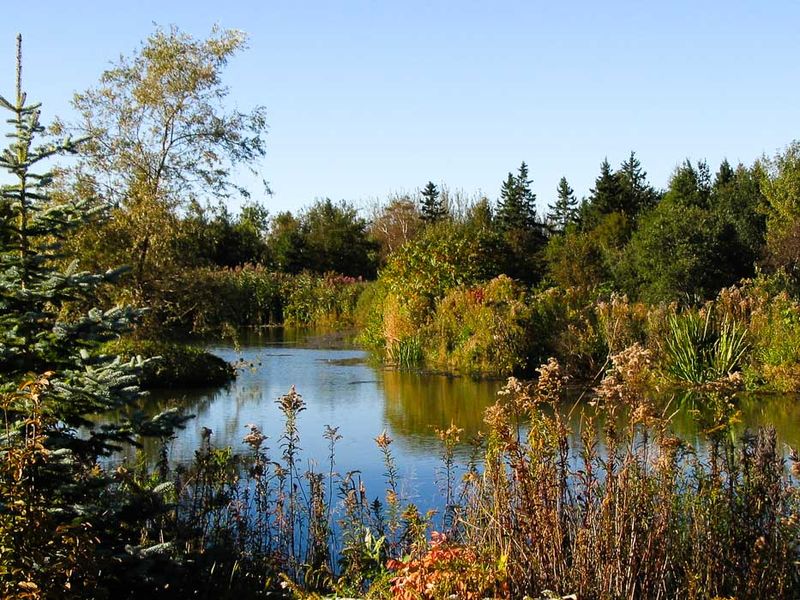 Kingsbrae Gardens