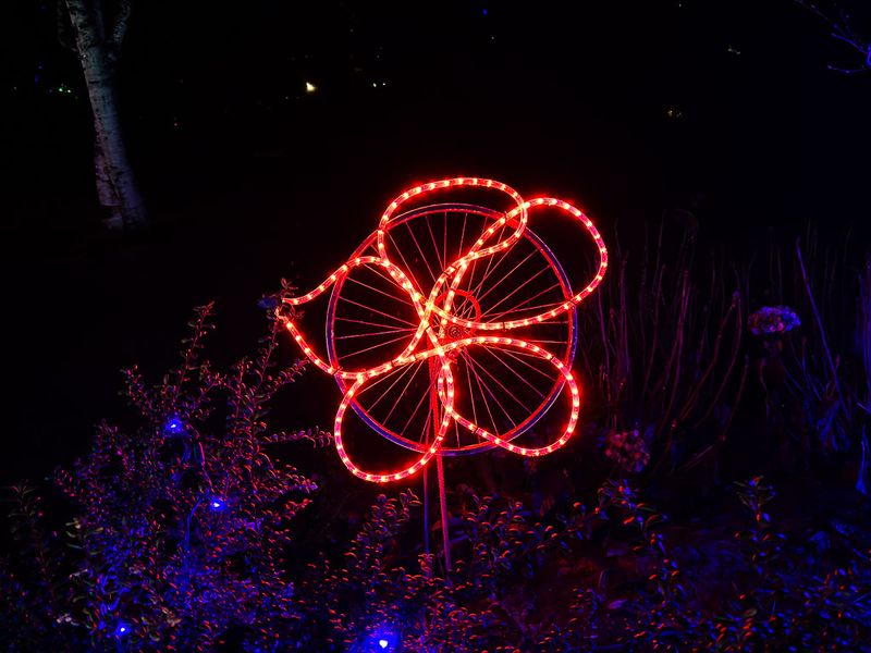 IMG_3904_LR