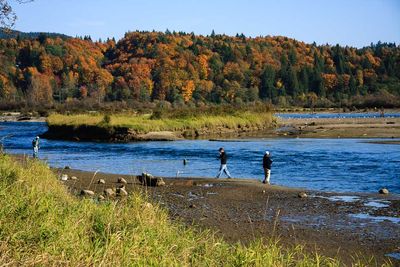 Salmon Fishing - Stave River