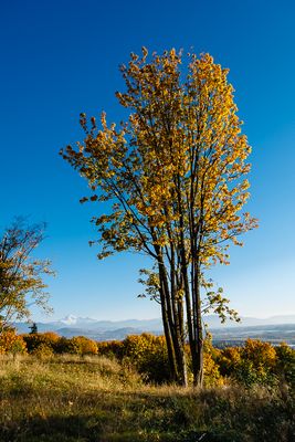 40D_01671_LR