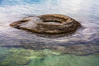 Fishing Cone Geyser, West Thumb Geyser Basin