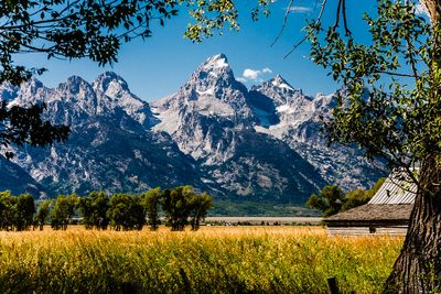 The Grand Tetons