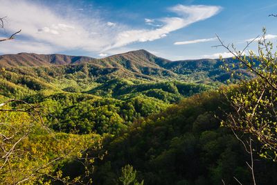 Great Smoky Mountain, National Park, TN