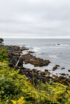g13/28/870828/3/173123773.f7ed7a15.JPEG