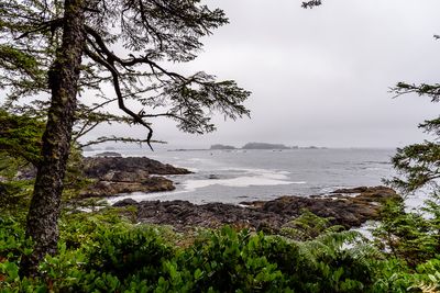 g13/28/870828/3/174013581.b628f57e.JPEG