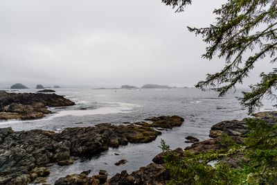 g13/28/870828/3/174013624.5b646425.JPEG