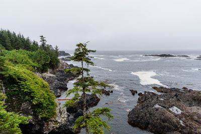 g13/28/870828/3/174016478.57af472c.JPEG
