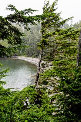 Wild Pacific Trail, Ucluelet, B.C.