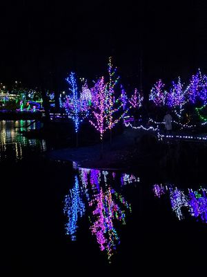 g13/28/870828/3/175160962.bbaa1330.JPEG