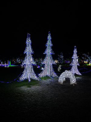 g13/28/870828/3/175161343.8a07757a.JPEG