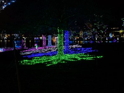 g13/28/870828/3/175161359.cdaaea9f.JPEG