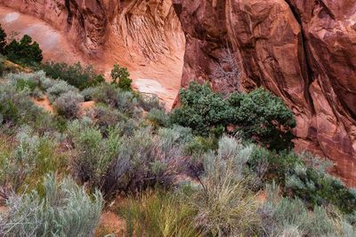 Arches National Park, Utah