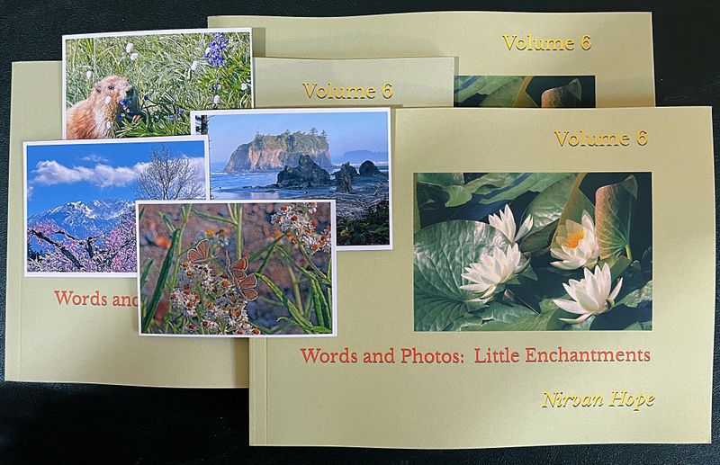 Words and Photos: Little Enchantments, Volume 6