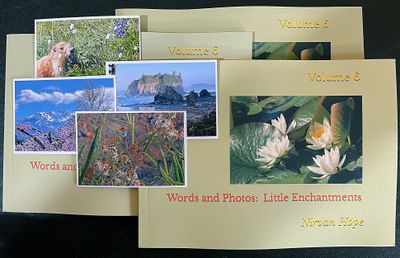 Words and Photos: Little Enchantments