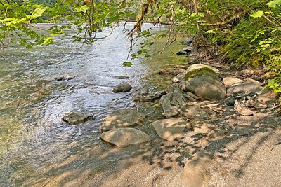 River Beach (from Songs of the Elwha)