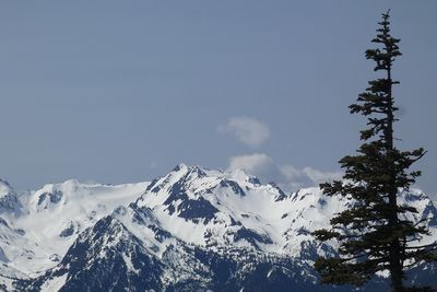 Hurricane Ridge 2025