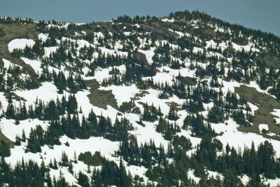 Hurricane Ridge 2025
