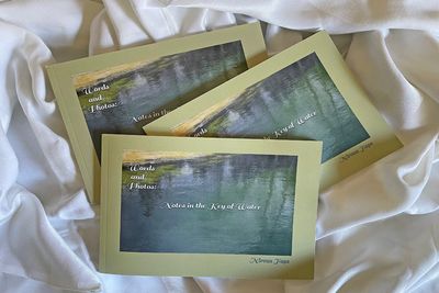 Words and Photos: Little Enchantments