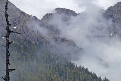 Hurricane Ridge 2025
