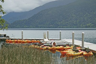 2025 Summer on the Olympic Peninsula