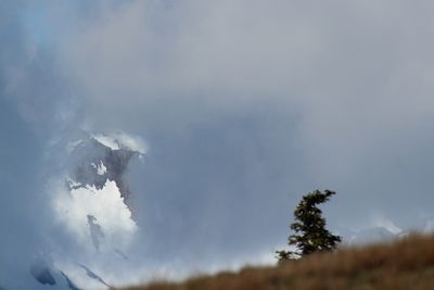 Hurricane Ridge 2025