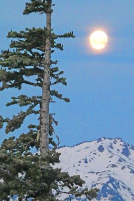 Hurricane Ridge 2025