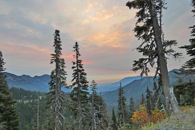 Hurricane Ridge 2025