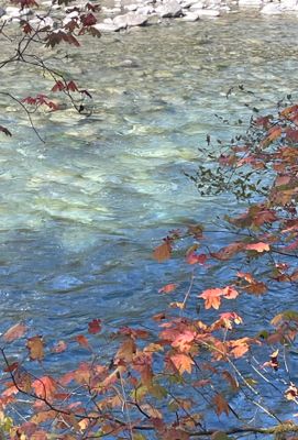 2025 Fall on the Olympic Peninsula