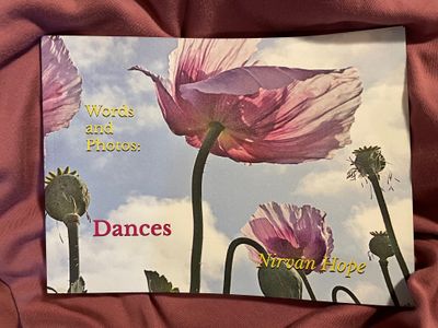 Words and Photos: Little Enchantments