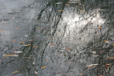 25-26 Winter iin the Pacific Norhwest