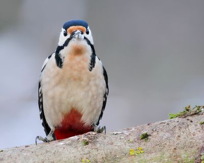 IMG_6440.jpg
