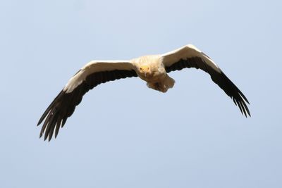_MG_3656.jpg