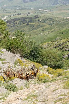 GJIROKASTËR