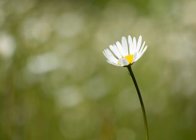 g13/28/958028/3/174136976.a4ca590e.JPEG