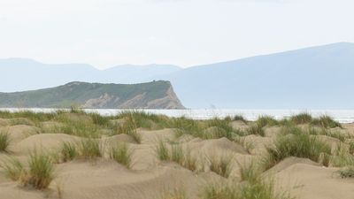 _P0A0785.jpg