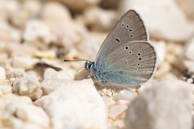 _G0A8294-Hersteld.jpg