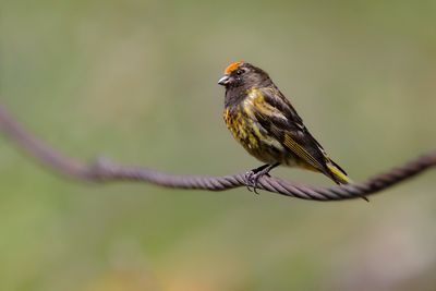 _MG_6765.jpg