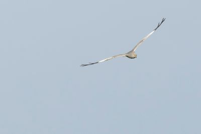 2J3A7194.jpg