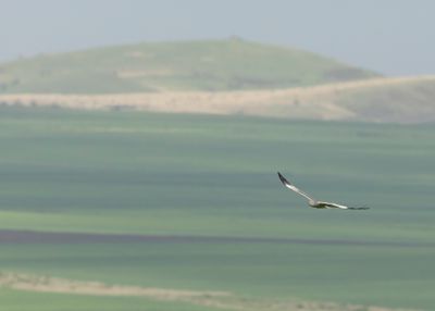 2J3A7333.jpg