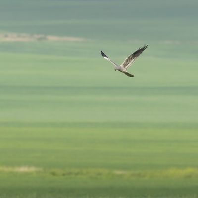 2J3A7345.jpg