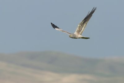 2J3A7441.jpg