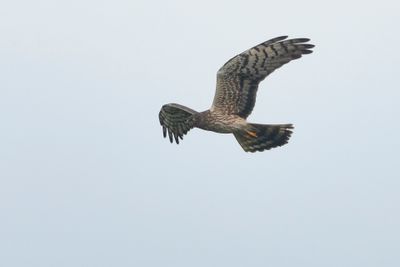 2J3A7546.jpg