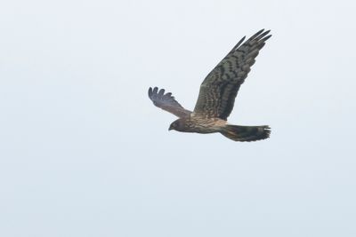 2J3A7550.jpg