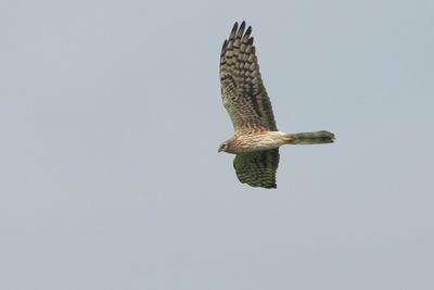 2J3A7613.jpg