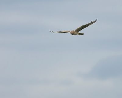2J3A7616.jpg