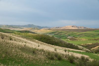 _P0A3020.jpg